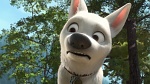 Image Volt Star Malgr� Lui