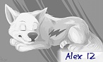 Alex 12