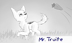 Mr. Truite