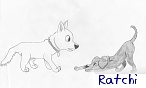 ratchi