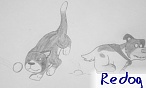 redog
