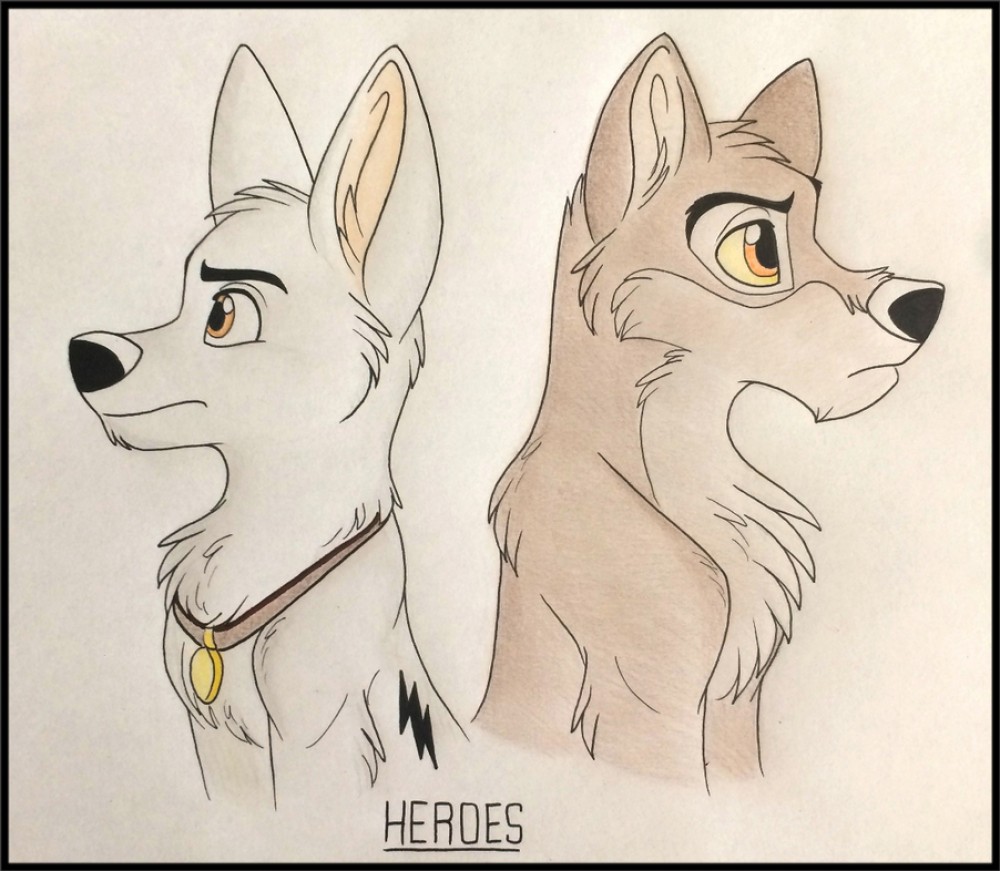 Animation