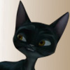 Veteran Cat Veteran Cat