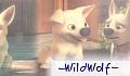 -WildWolf-