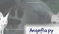 angeflapy