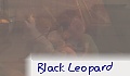 Black Leopard