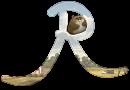 R comme Rhino