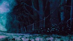 Watership Down picture