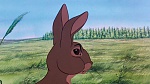 Watership Down picture