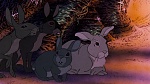 Watership Down picture
