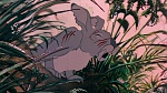Watership Down picture