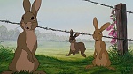 Watership Down picture