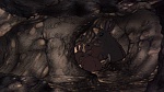 Watership Down picture