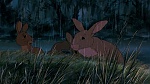 Watership Down picture