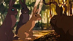 Watership Down picture
