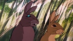 Watership Down picture