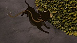 Watership Down picture