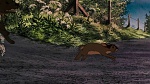 Watership Down picture