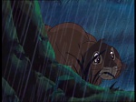 Watership Down : The easy life picture