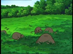Watership down (TV) picture
