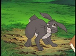 Watership Down : The roundabout picture Watership Down : The roundabout picture