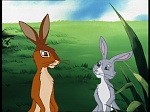 Watership Down : The promised land picture Watership Down : The promised land picture