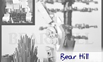 Bear Hill