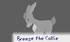 Breeze the Collie