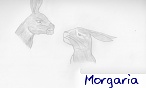 Morgaria