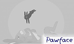 Pawface