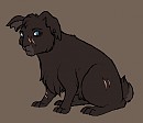 Show Blackavar redesign