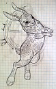 Sun Rabbit