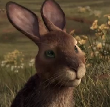 Hazel