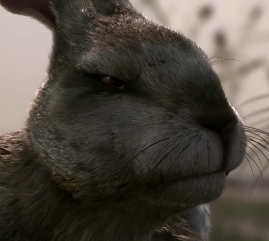 Watership