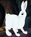 Adult Snowdrop