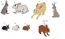 Unused designs-up for adoption