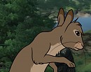BigwigXFlyairth