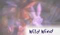 Wild Wind