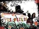 The Field 