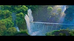 Zootopia picture