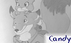 candy