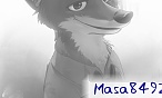 masa8492