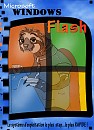 Windows Flash