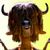 Yax