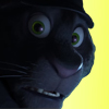 Mr. Manchas
