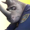 Officer McHorn