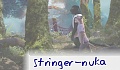 stringer