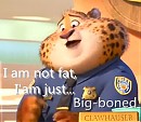 I am not fat , I am just big-boned