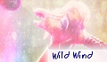 Wild Wind
