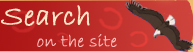 Search